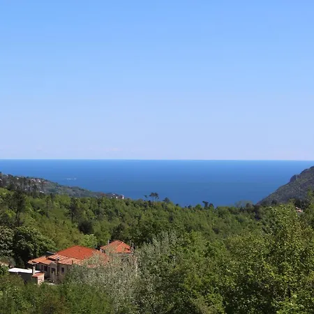 Oda ve Kahvaltı Segni E Impronta 3*