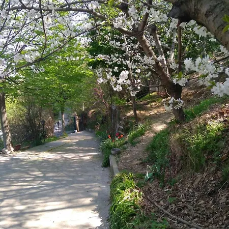 Segni E Impronta 住宿加早餐酒店 菲纳莱利古雷