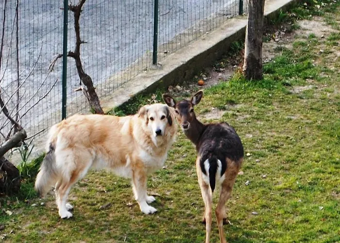 Segni E Impronta 3* Finale Ligure