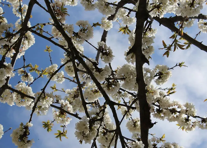 Bed & Breakfast Segni E Impronta Finale Ligure