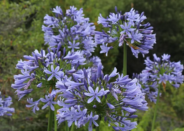 Segni E Impronta Bed & Breakfast Finale Ligure