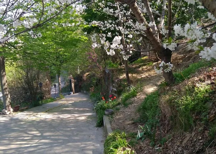 Segni E Impronta Bed & Breakfast Finale Ligure