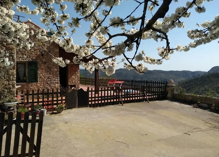 Bed & Breakfast Segni E Impronta