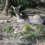 Segni E Impronta 3* フィナーレ・リーグレ