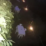 Segni E Impronta