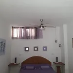 Segni E Impronta