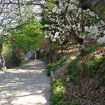 Segni E Impronta Bed & Breakfast Finale Ligure