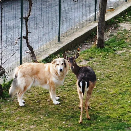 Segni E Impronta 3* Финале Лигуре