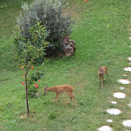 Segni E Impronta Bed and Breakfast