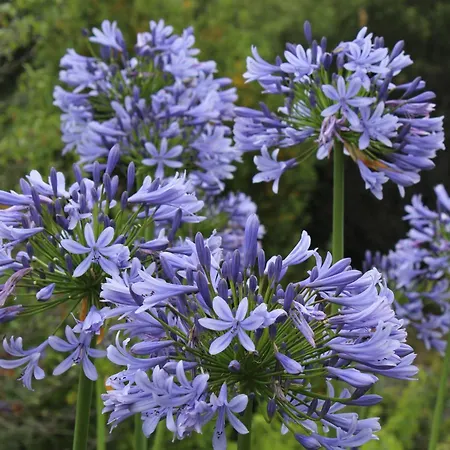 Segni E Impronta Bed and breakfast Finale Ligure