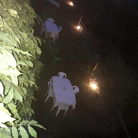 Segni E Impronta