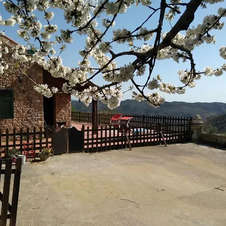 לינה וארוחת בוקר Segni E Impronta