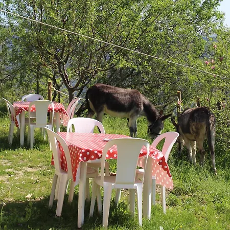 Segni E Impronta Отель типа 