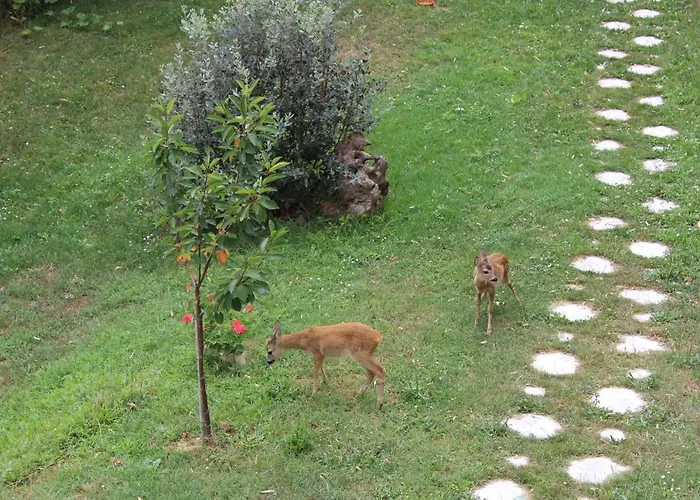 Segni E Impronta Panzió