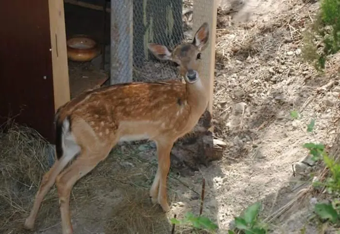 Segni E Impronta فندق مبيت وإفطار 3*