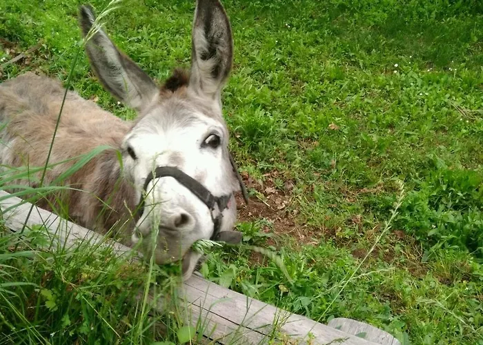 Segni E Impronta فينالي ليغوري