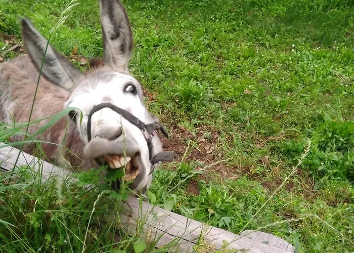 فندق مبيت وإفطار Segni E Impronta