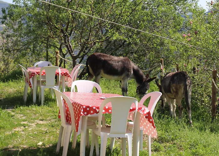 Segni E Impronta Bed & Breakfast 3*